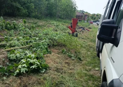 Vyčištění a úprava stavebního pozemku Nižbor (okres Beroun)
