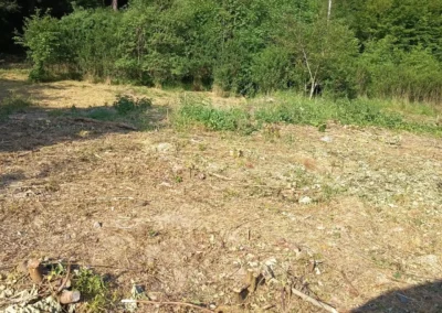 Vyčištění a úprava stavebního pozemku Nižbor (okres Beroun)