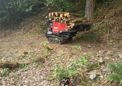 Vyčištění a úprava stavebního pozemku Nižbor (okres Beroun)